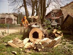 plosinyzlin.cz - MONTÁŽE EPZ | PRONÁJEM MONTÁŽNÍCH PLOŠIN – UHERSKÉ HRADIŠTĚ +(420) 603 374 745